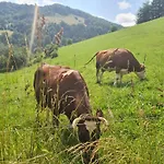 Muzyki *