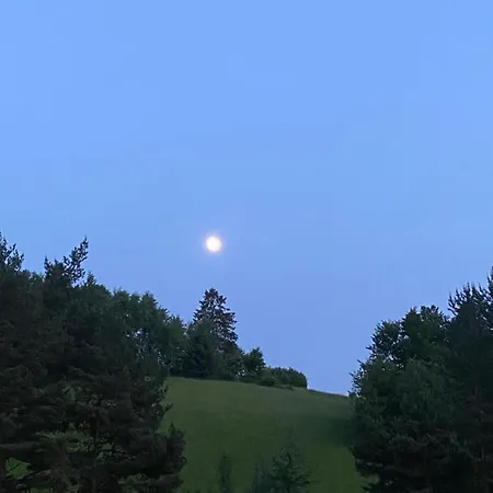 Muzyki ファームステイ